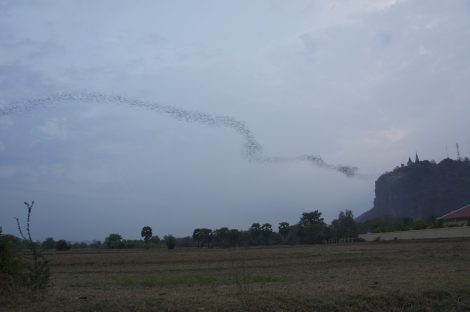 DSC07998