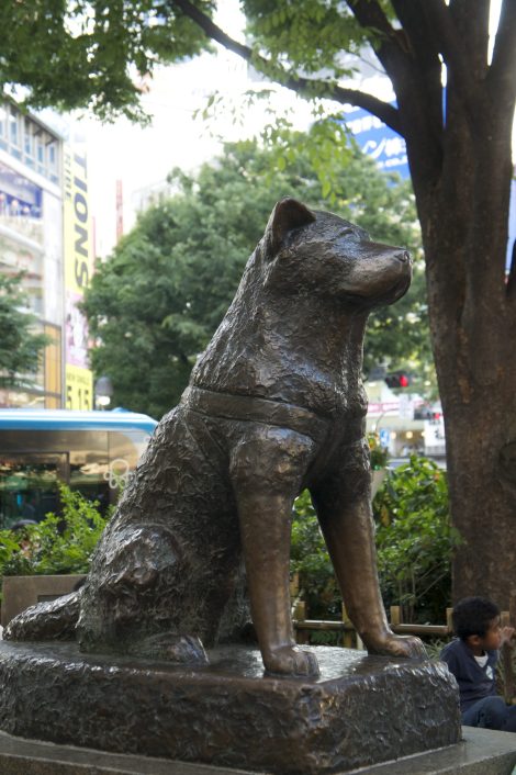 Japan, Copyright Michael Bencik 2013