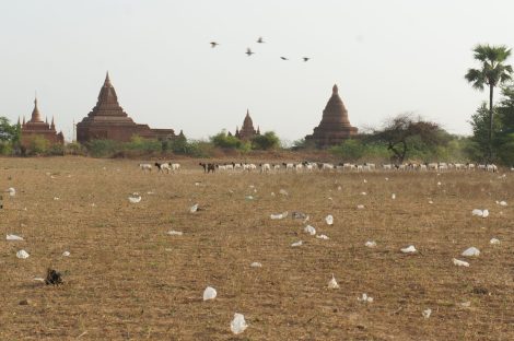 Temples in Bagan, Copyright Michael Bencik 2013