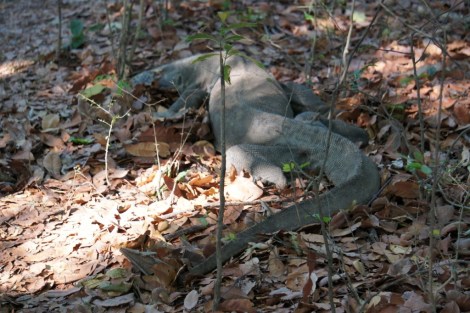 20130102-185754.jpg