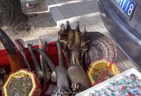 China Tiger Poaching Claw 2