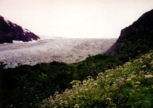 Denali National Park, Copyright 2001 Michael Bencik