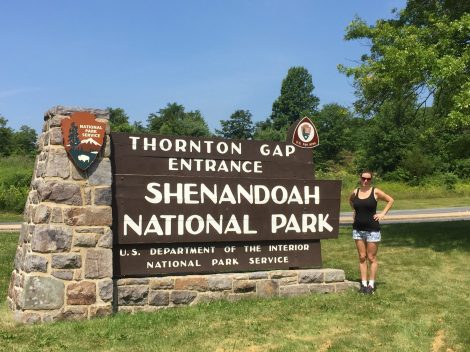 Shenandoah National Park, Copyright Michael Bencik 2015