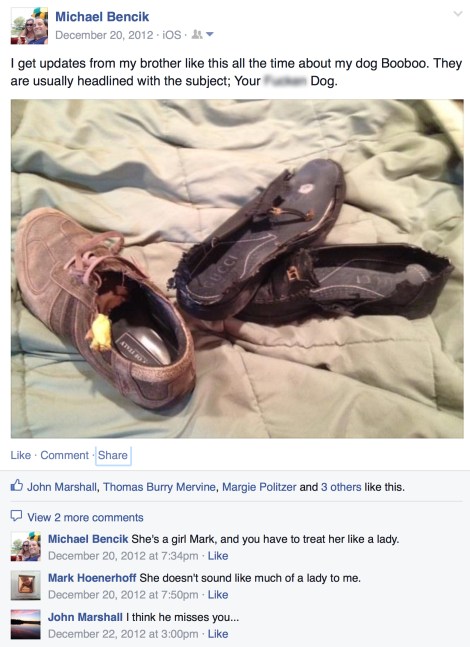 Facebook Post About Booboo copy