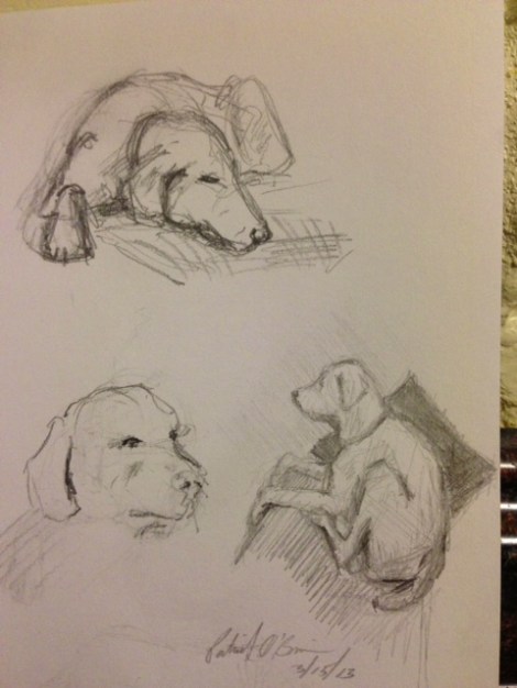 Dog sketches